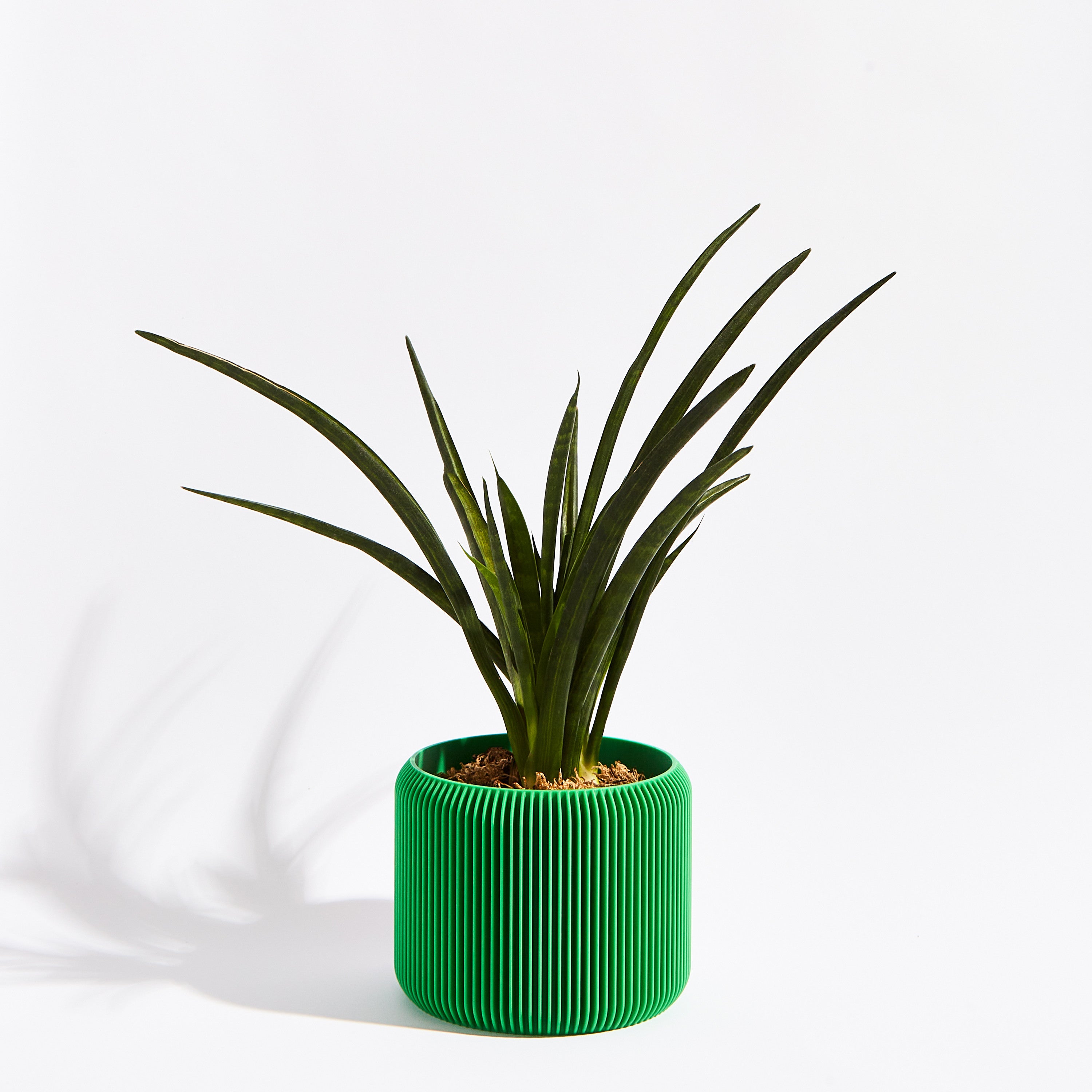 Turbin pot- Bamboo green