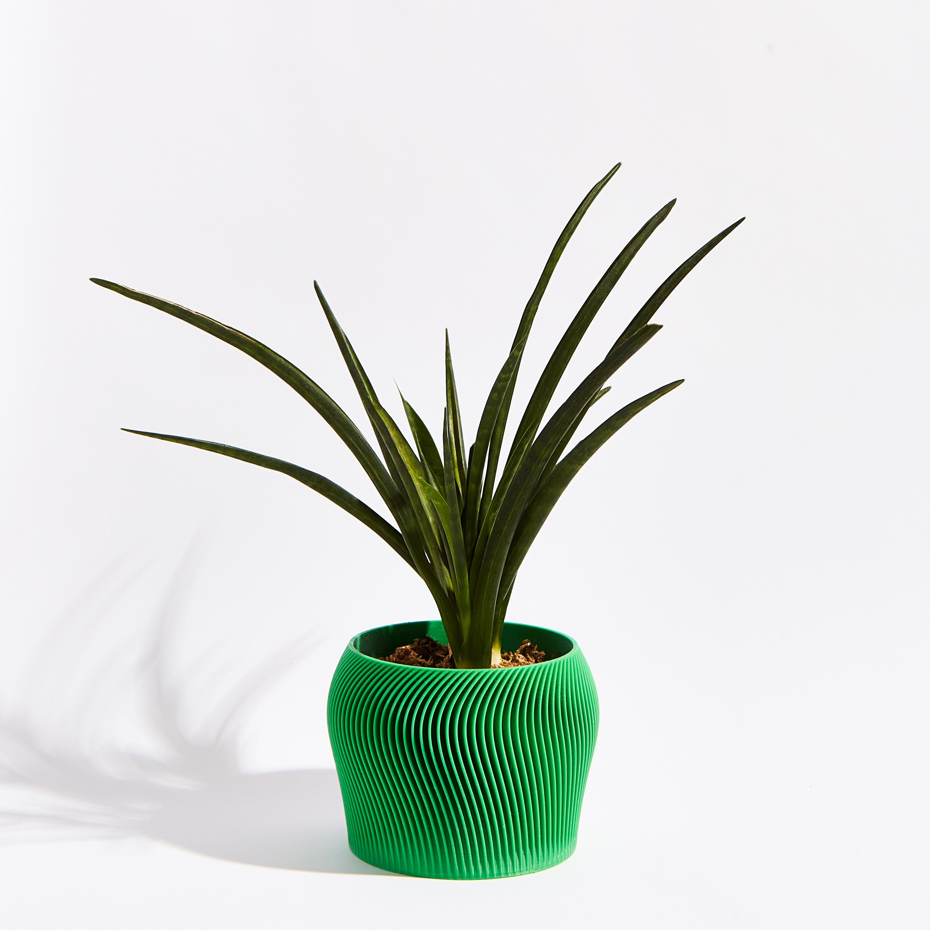 Orbital pot- Bamboo green