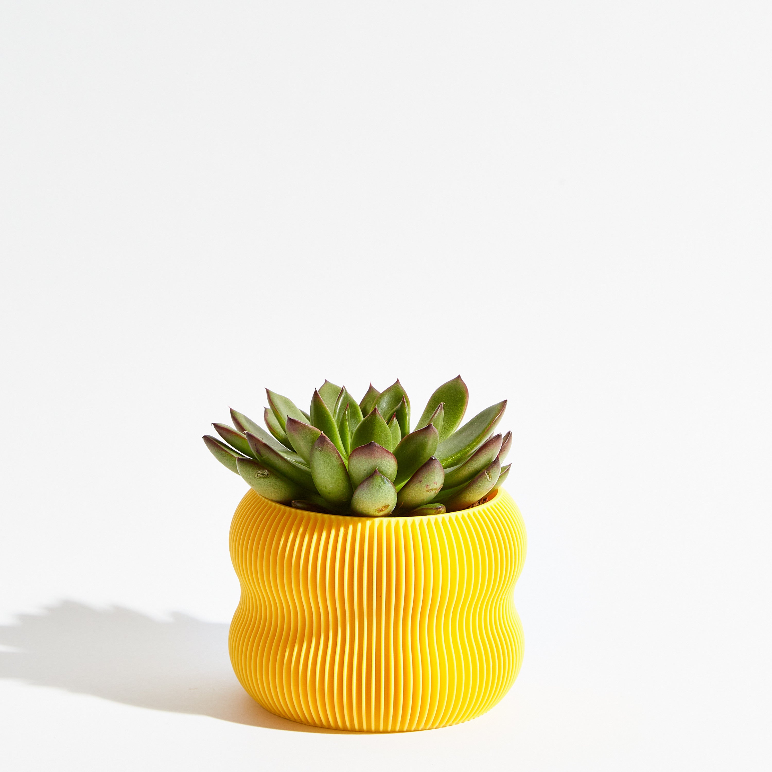 Bubble pot - Banana yellow