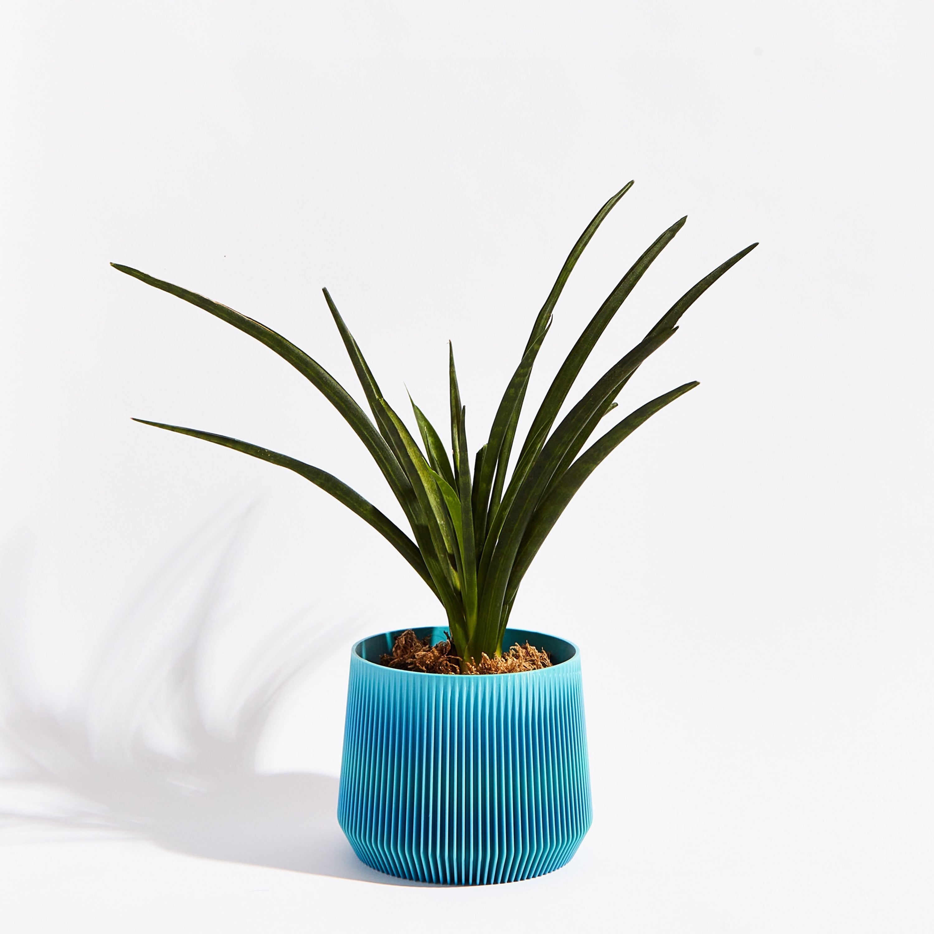 Pillar pot- Ocean blue