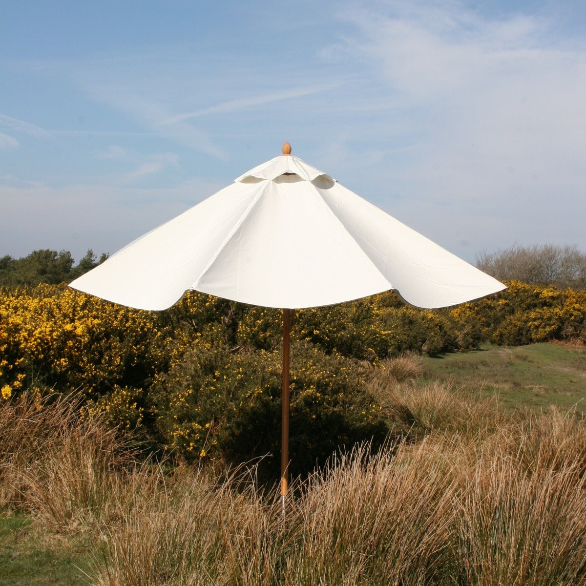 Off-white Simplicity parasol