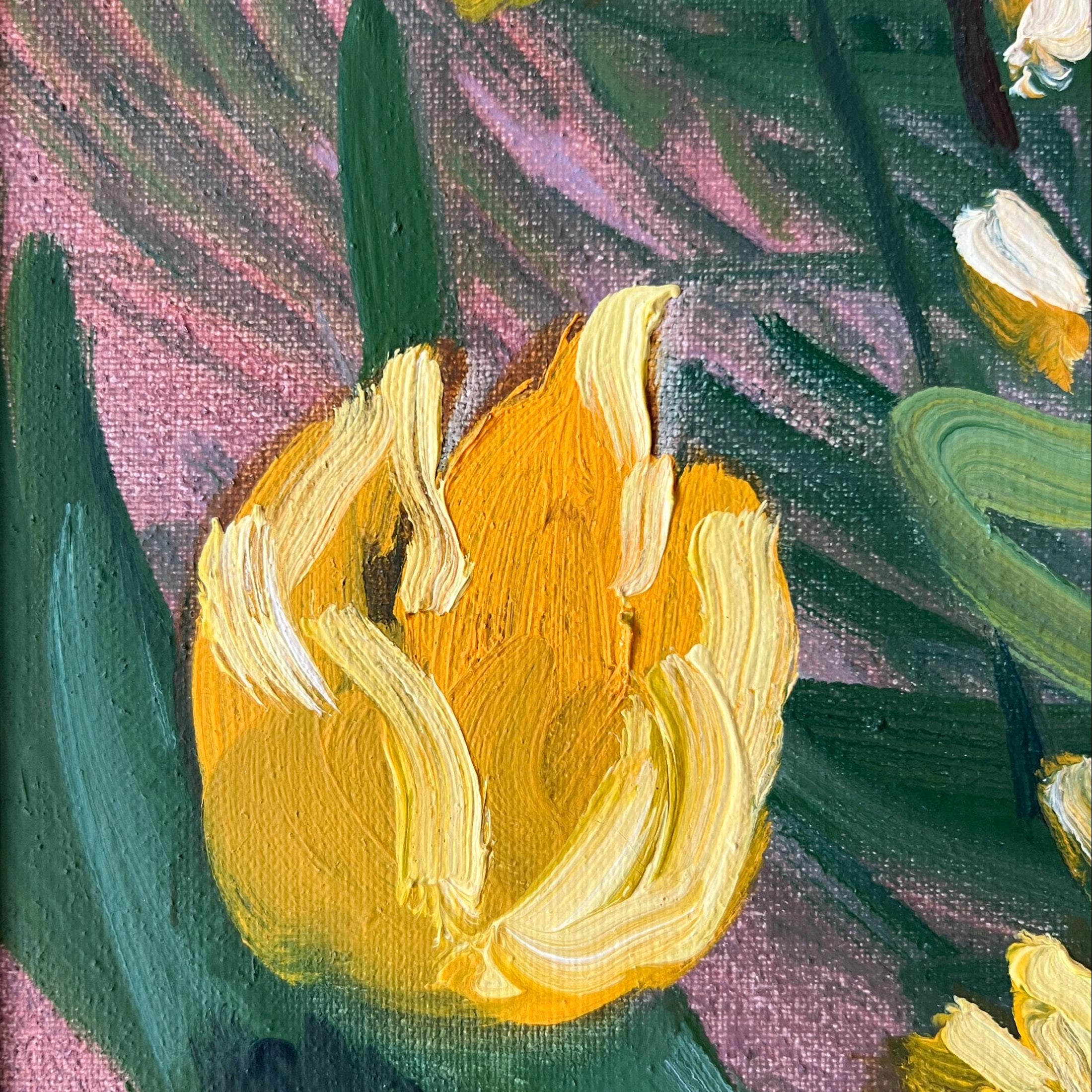 Amaryllis & Pussywillow