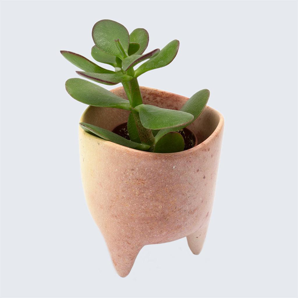 Kenyan Soapstone Hand Carved Plant Pot 'Marbled Pink'