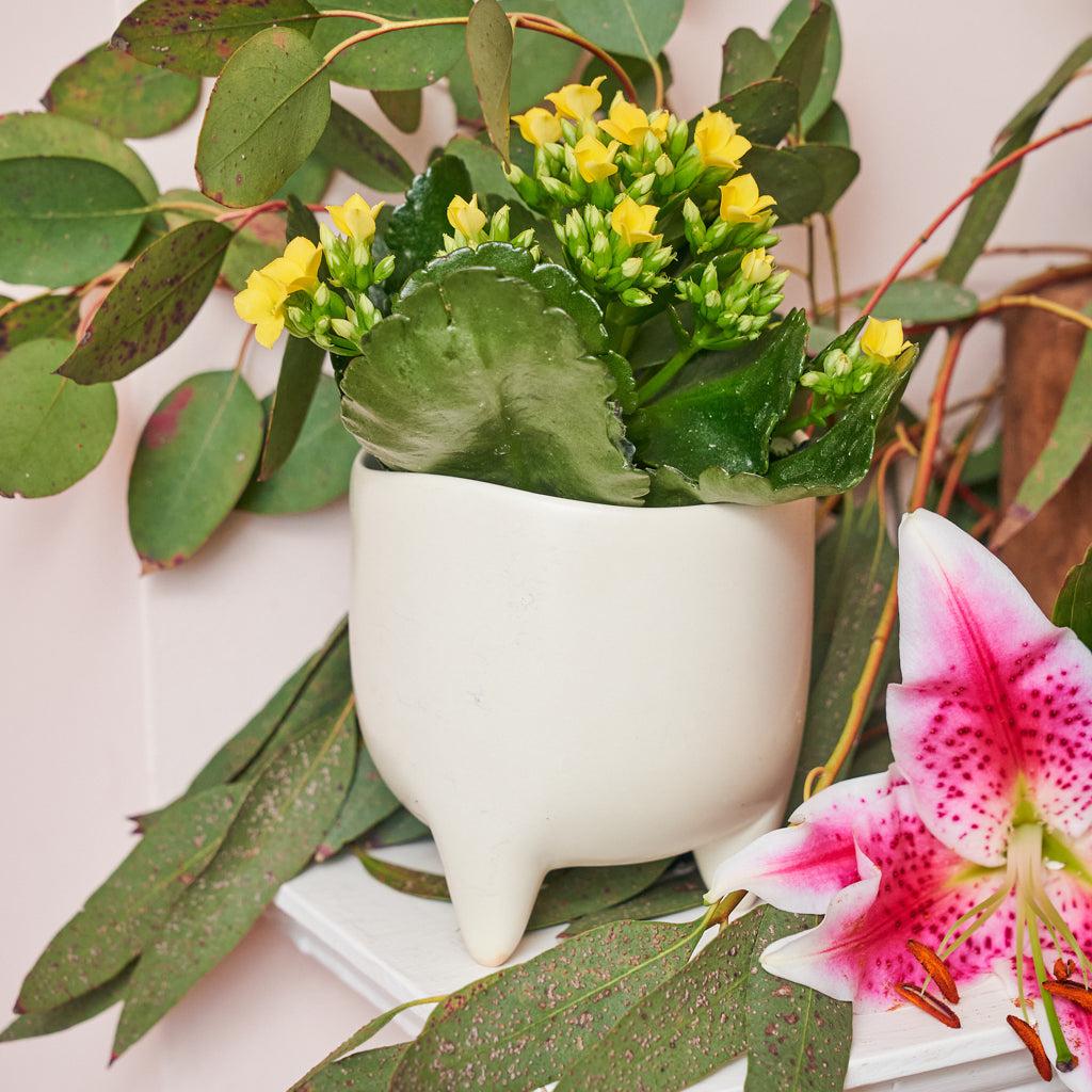 Kenyan Soapstone Hand Carved Plant Pot 'Natural'