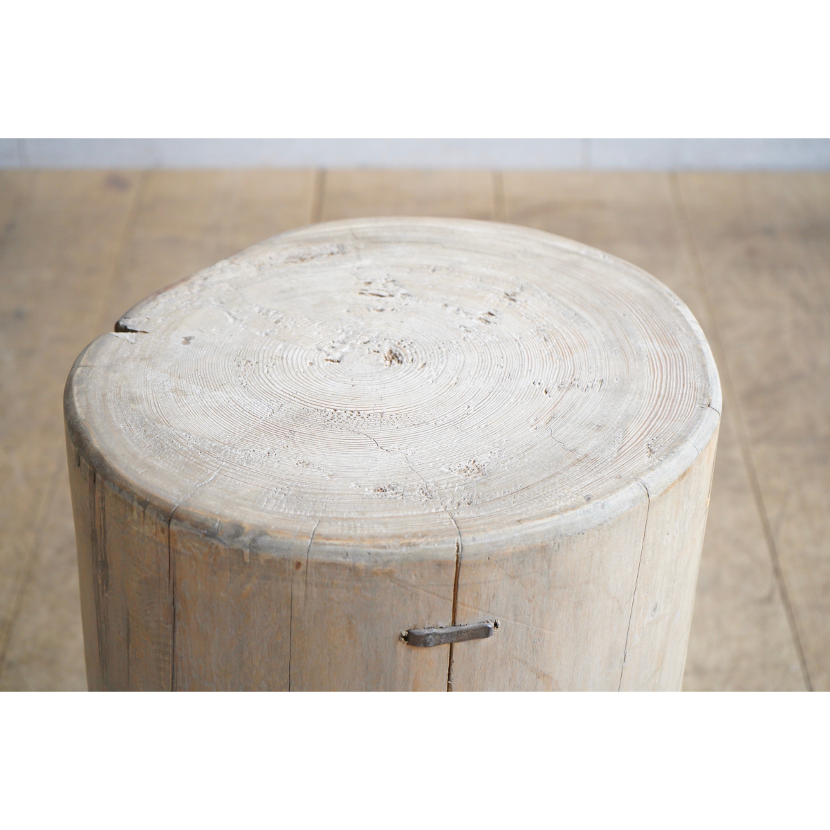 Elm Tree Stump