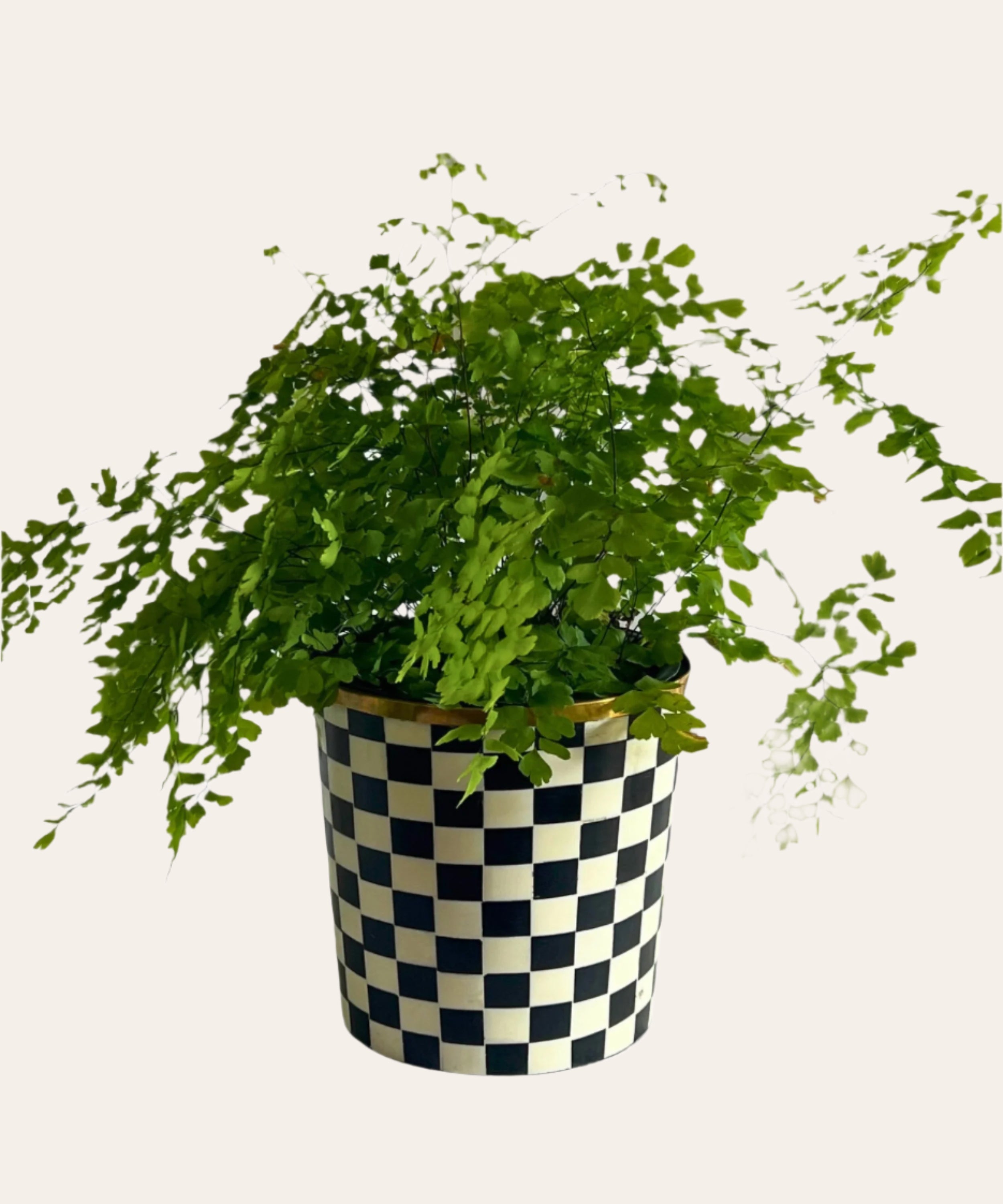 Round Inlay Planter | Medium |  Black | Chequered