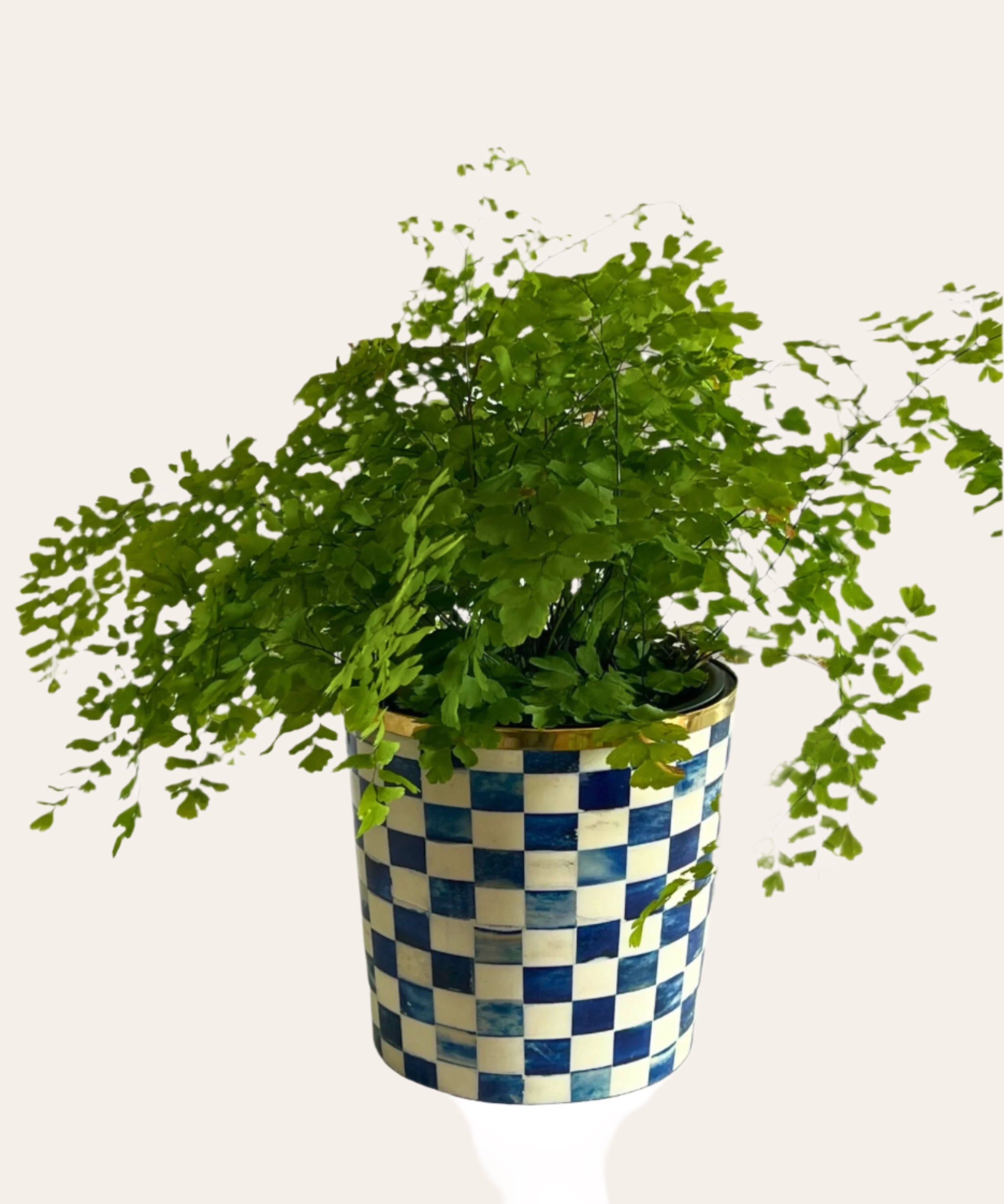 Round Inlay Planter | Medium | Blue | Chequered