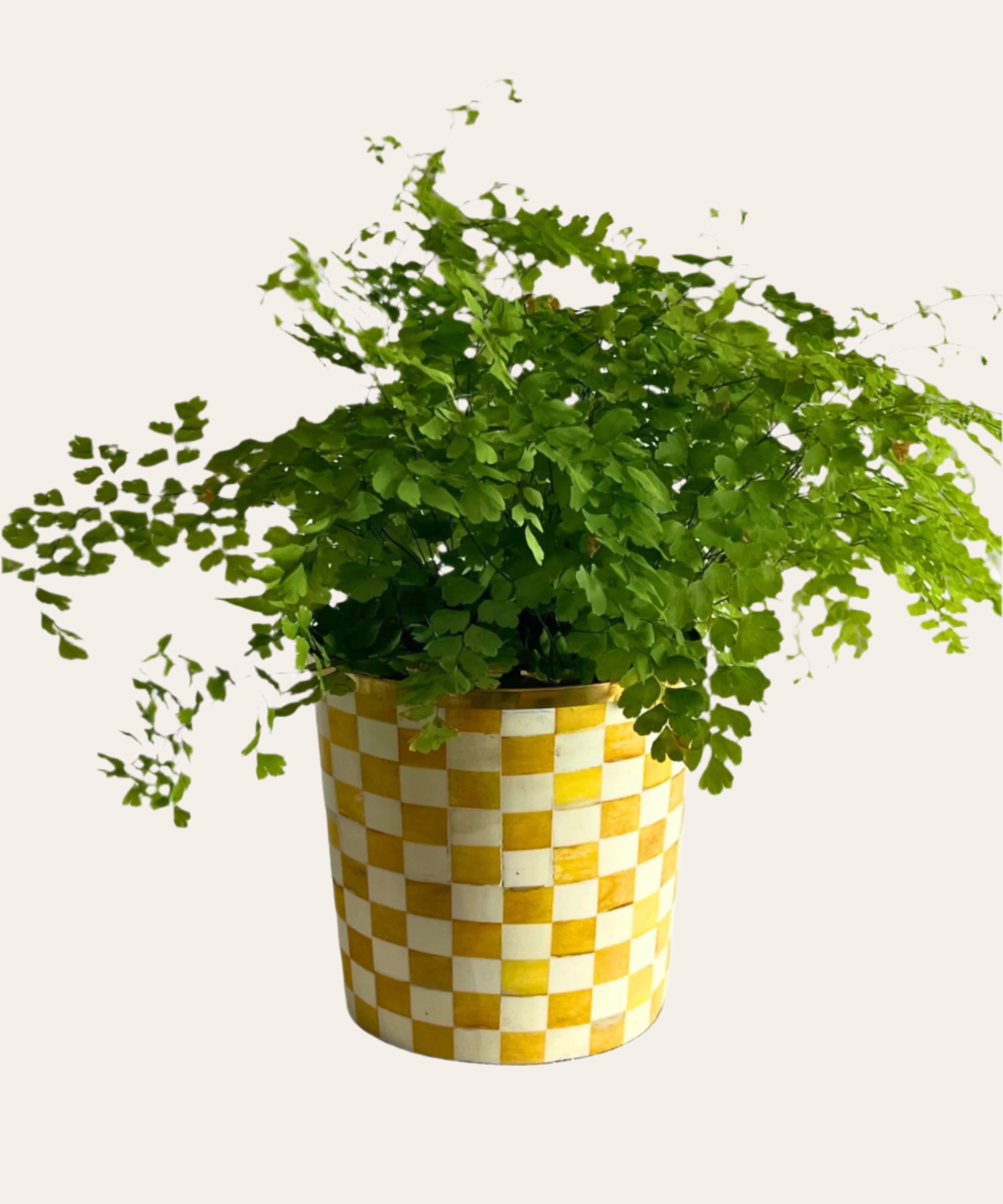 Round Inlay Planter | Medium | Yellow | Chequered
