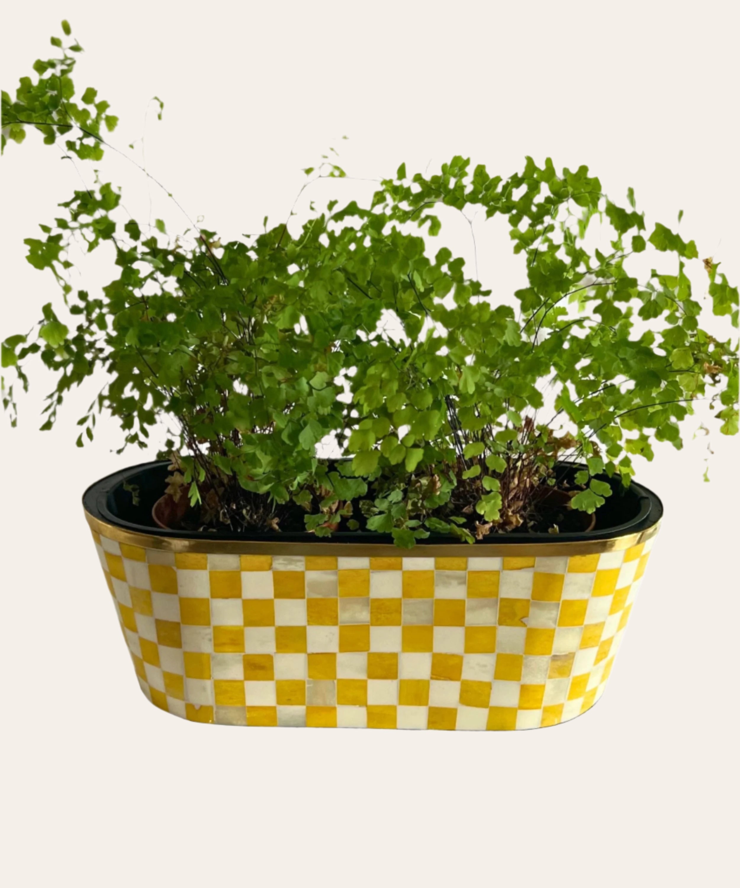Oblong Inlay Planter | Large | Yellow |Chequered