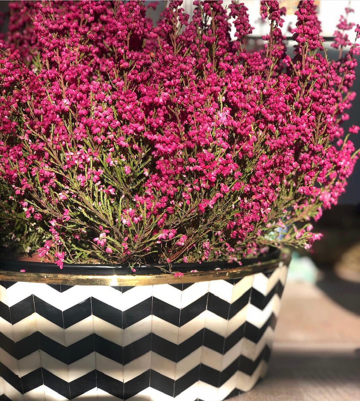 Round Inlay Planter | Large | Black | Chevron