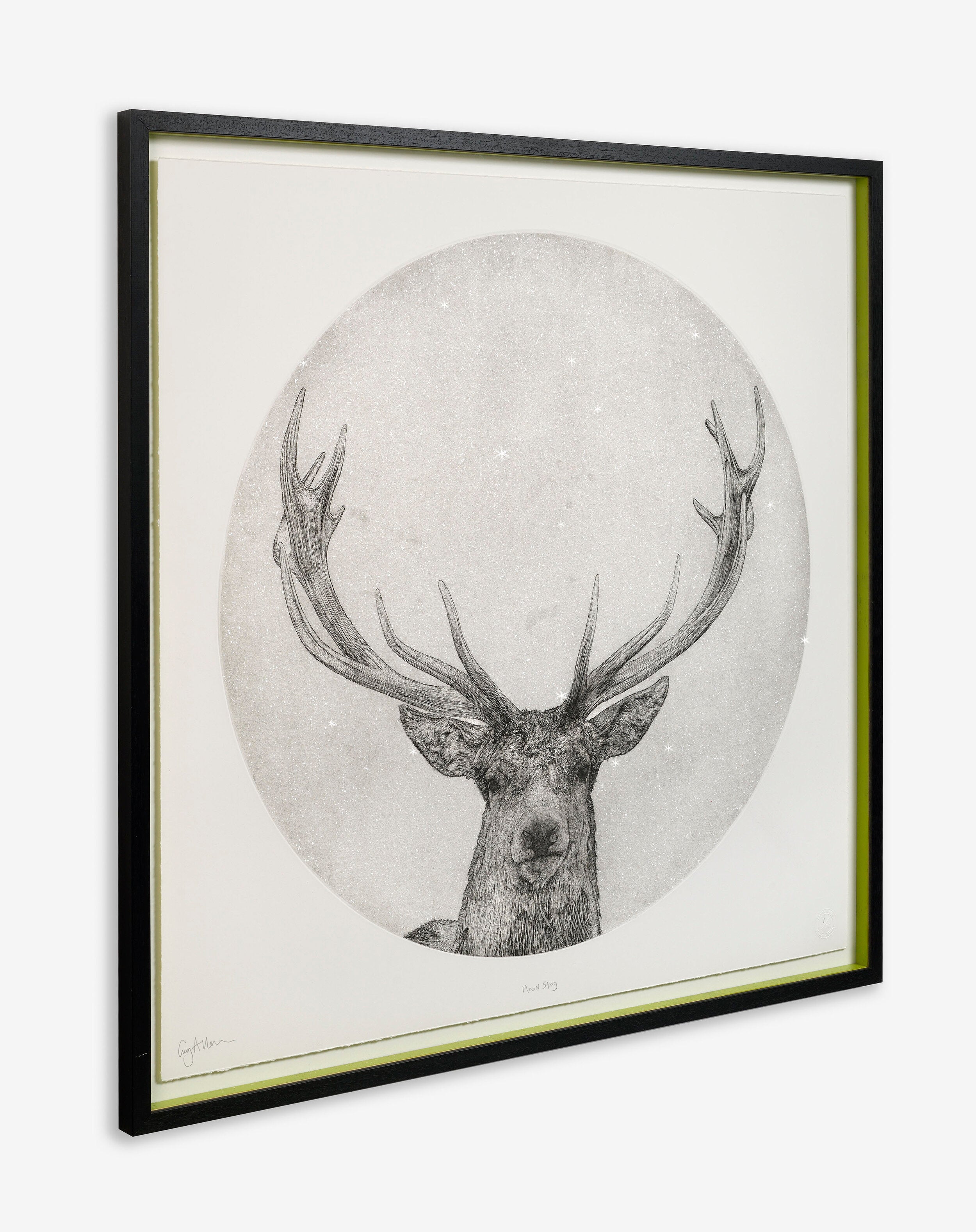 Moon Stag