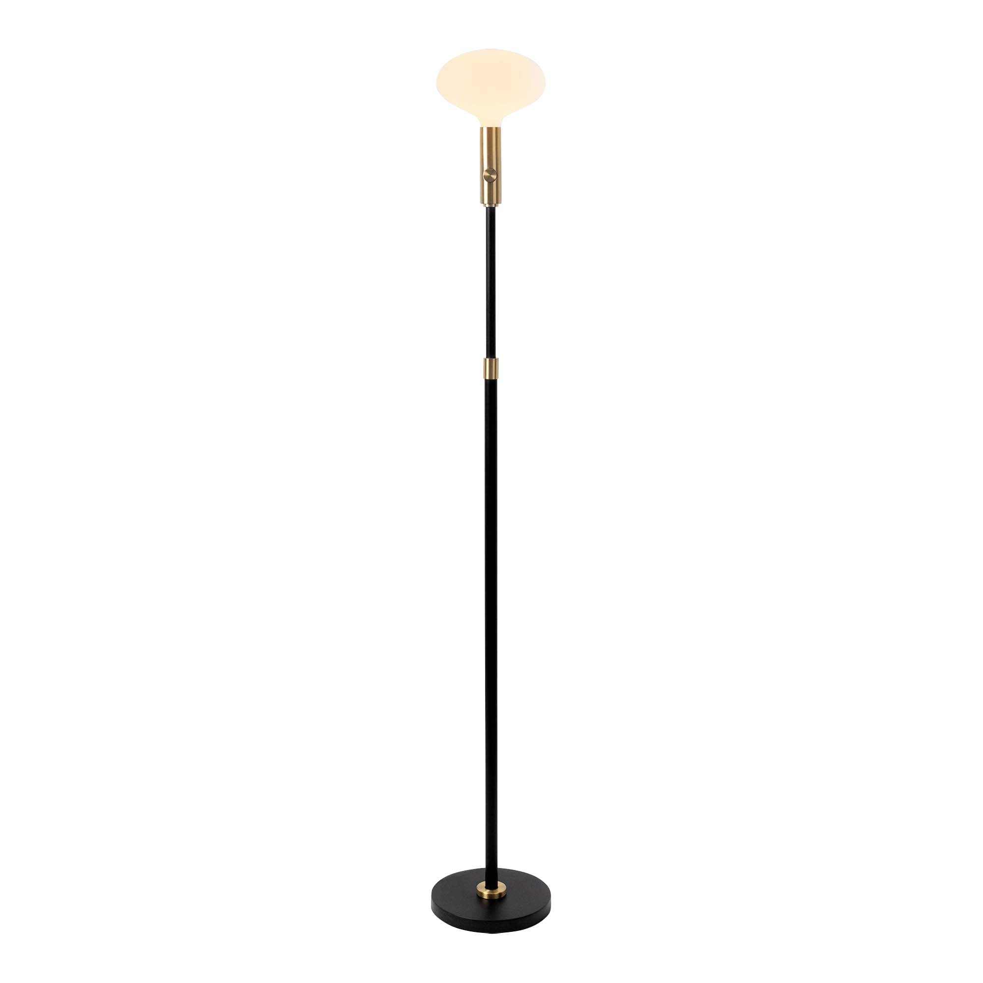 Poise Adjustable Floor Lamp + Oval II