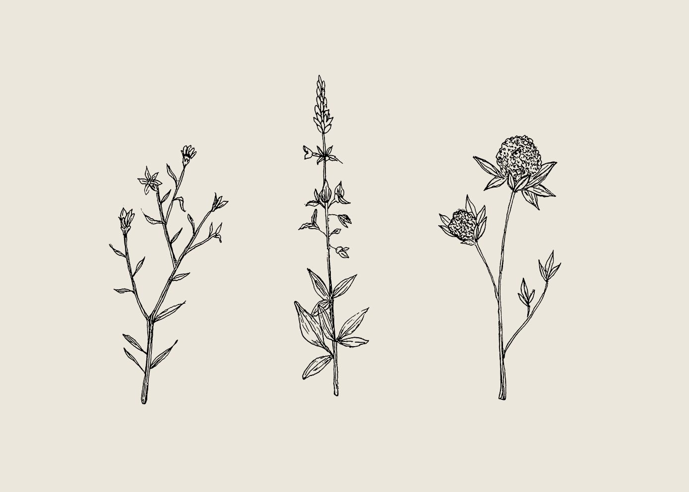 Three Friendly Bushels by Chloe Purpero Johnson