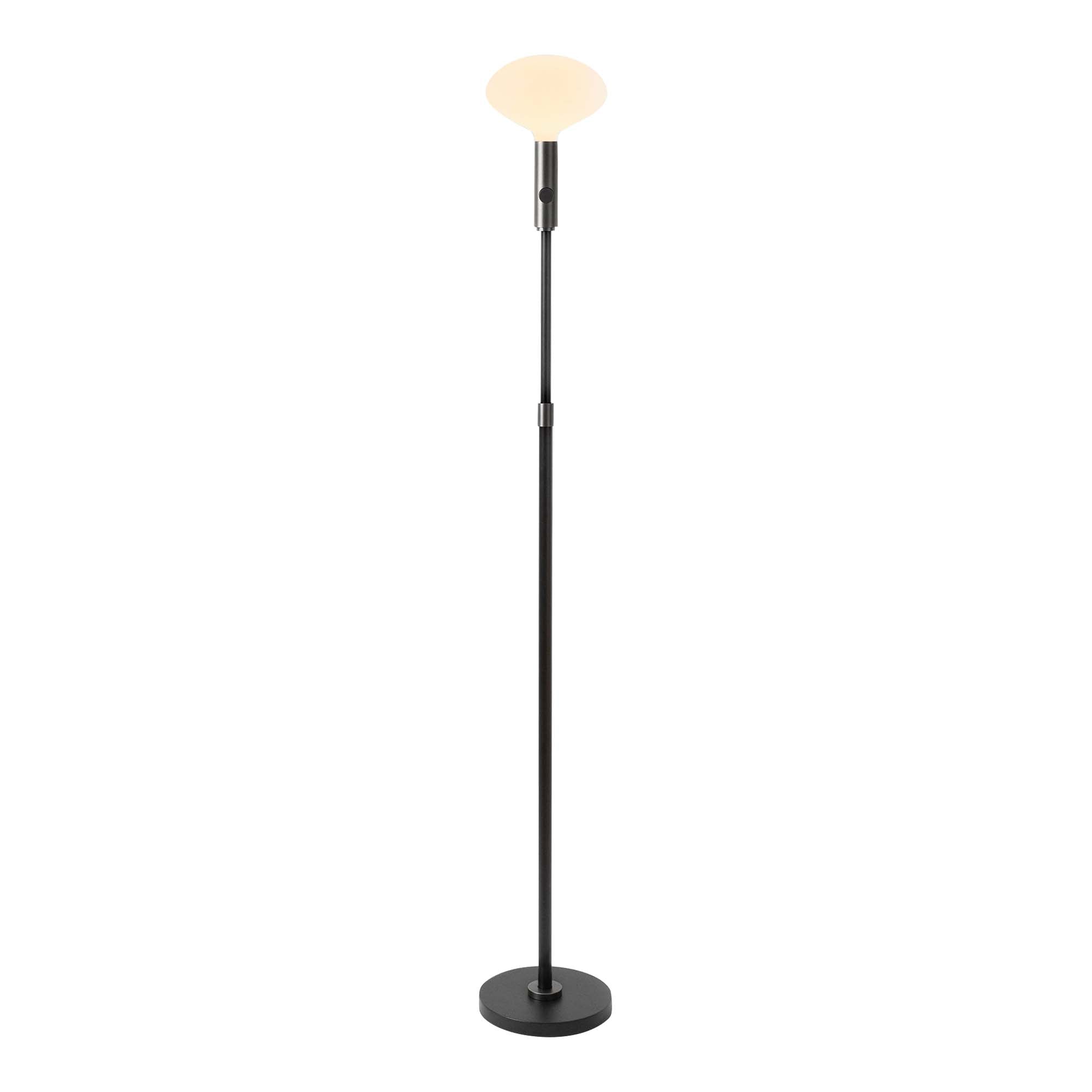 Poise Adjustable Floor Lamp + Oval II