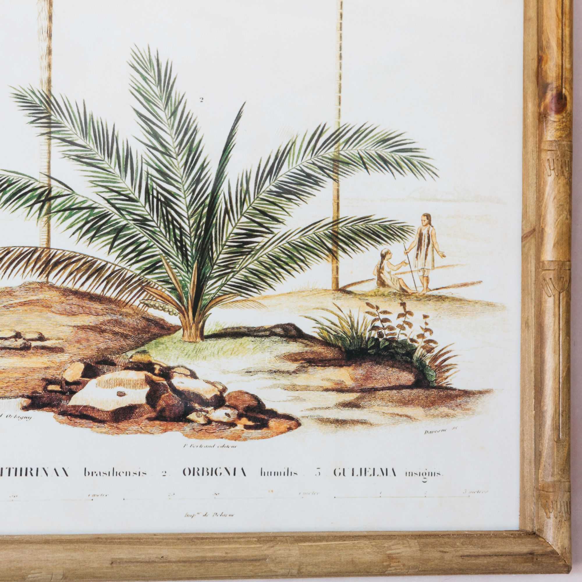 Set Of Four Palm Tree Prints