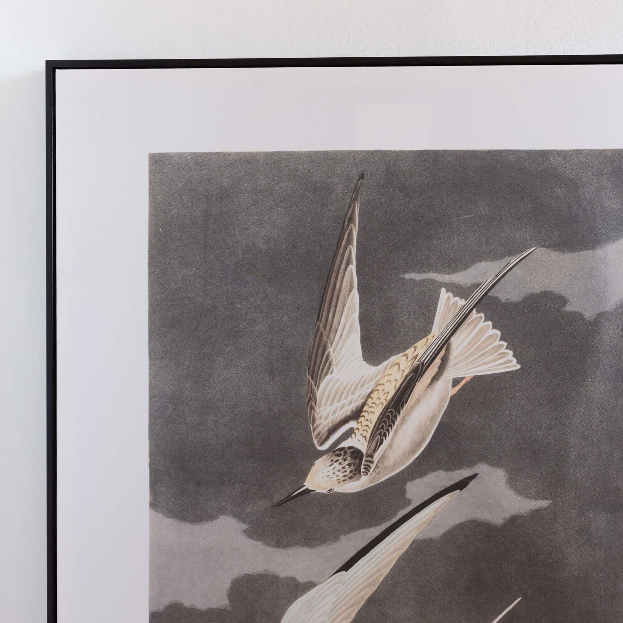 Birds In Flight Print
